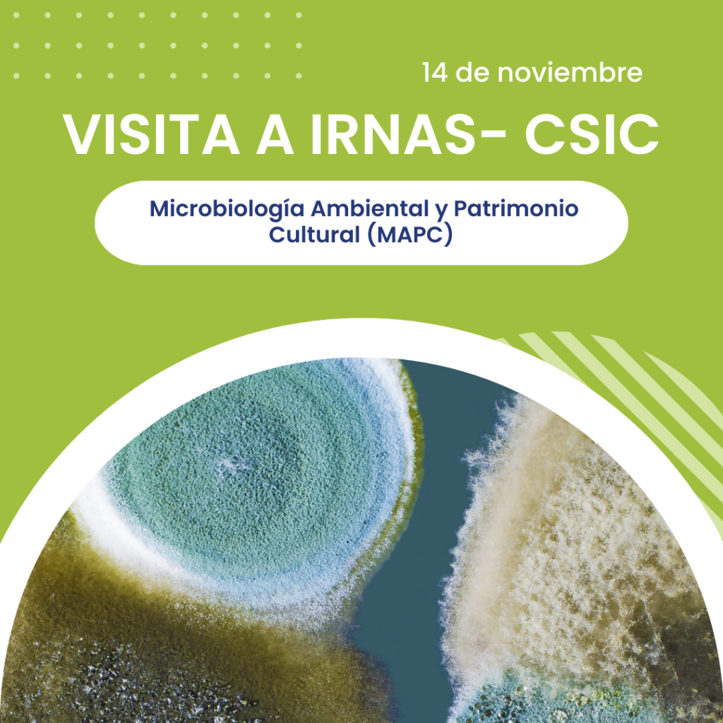 La Ciencia del Patrimonio desde dentro #3 con PTI-PAIS (CSIC)